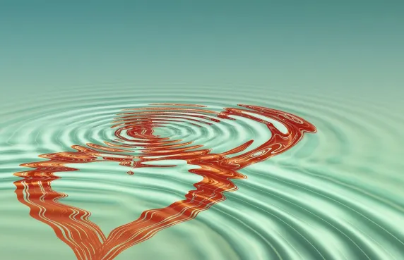 פאצ'י פאצ'י קזינו תמיכה